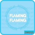 Naklejki na rower ROMET FLAMING naklejka napis