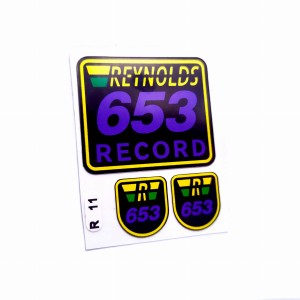 Naklejki Reynolds 653 Record naklejki na rower R11