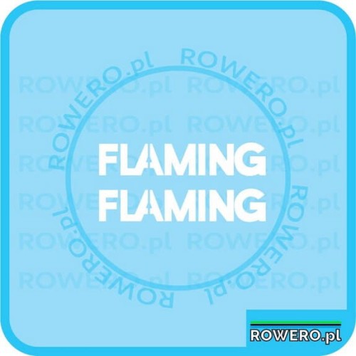 Naklejki na rower ROMET FLAMING naklejka napis