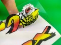 Naklejki Romet BMX Tiger Tygrys naklejka