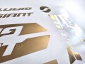 złoty2.jpg